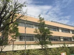 中央大学付属横浜中学校