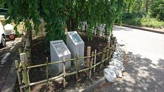 じゅんさい池公園
