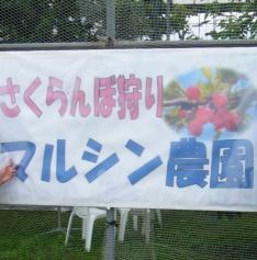 マルシン農園