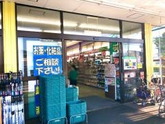 杏林堂ドラッグストア向宿店