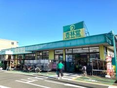 杏林堂ドラッグストア向宿店