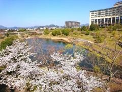 平谷川緑地