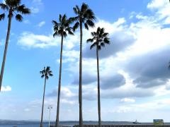 上人ケ浜公園