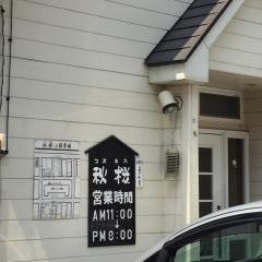 秋桜