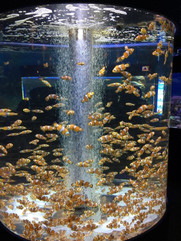 施設写真377