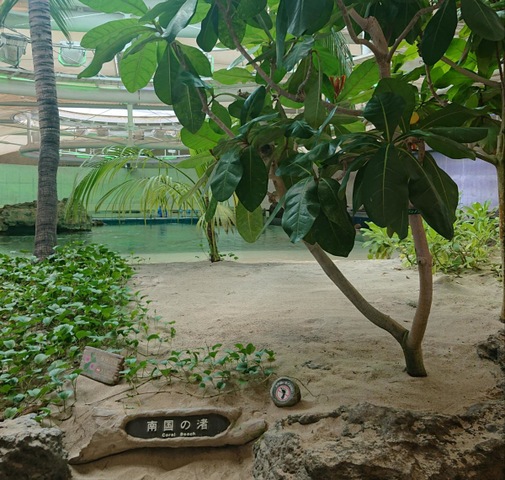 施設写真206