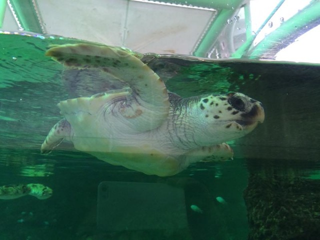 施設写真500