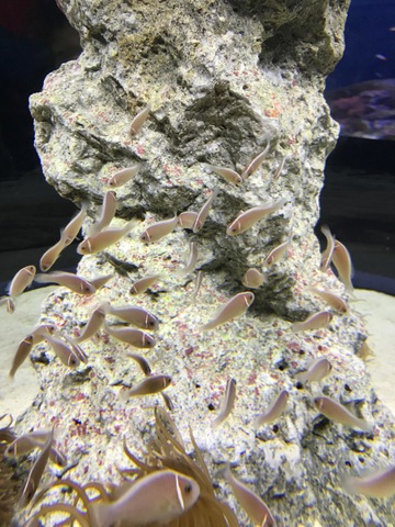 施設写真313