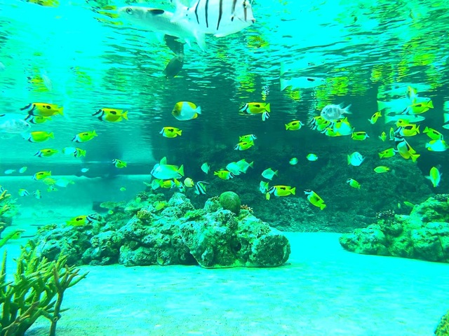施設写真140