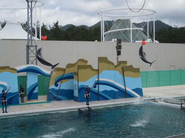 施設写真536