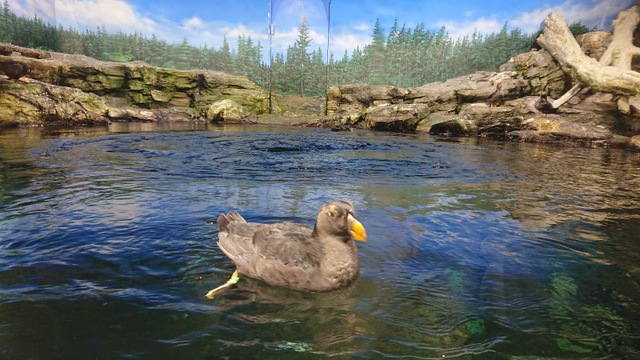 施設写真123
