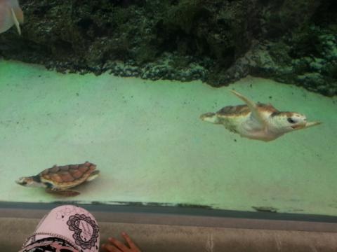 施設写真565