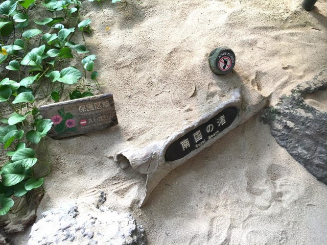 施設写真284