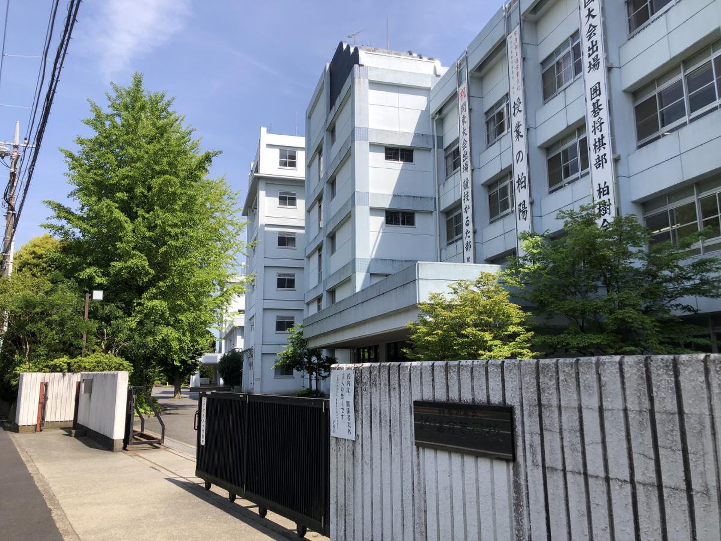 柏陽 高校