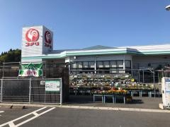 コメリハード＆グリーン　山岡店