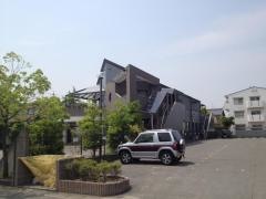 野田整形外科クリニック