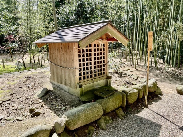 投稿写真3
