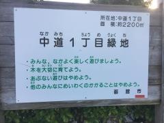 中道1丁目緑地