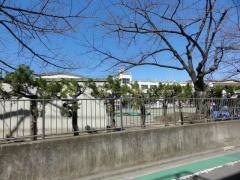 宮城小学校