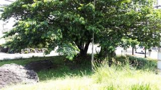 新成田第2緑地