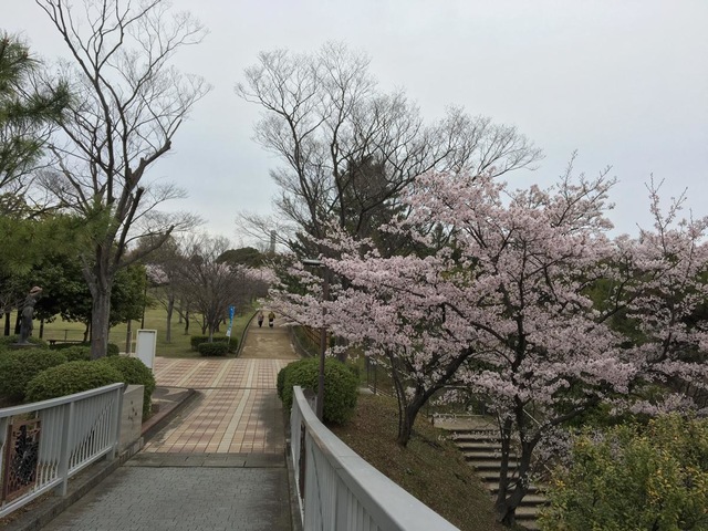 施設写真16