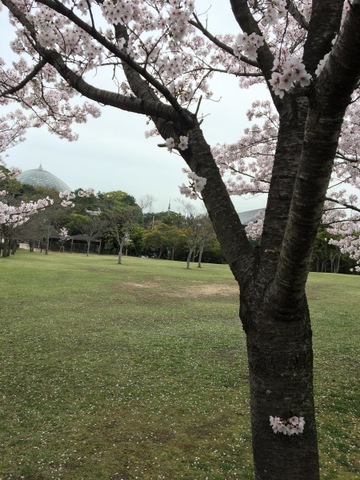 施設写真14