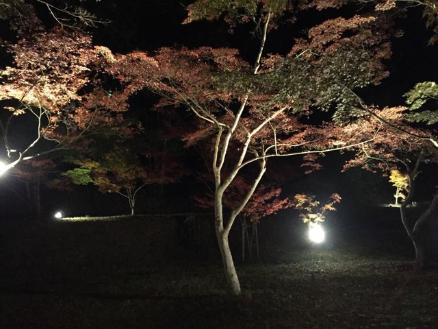 施設写真36