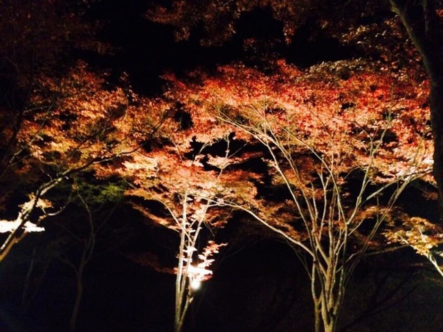 施設写真33