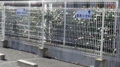 葛西小児科