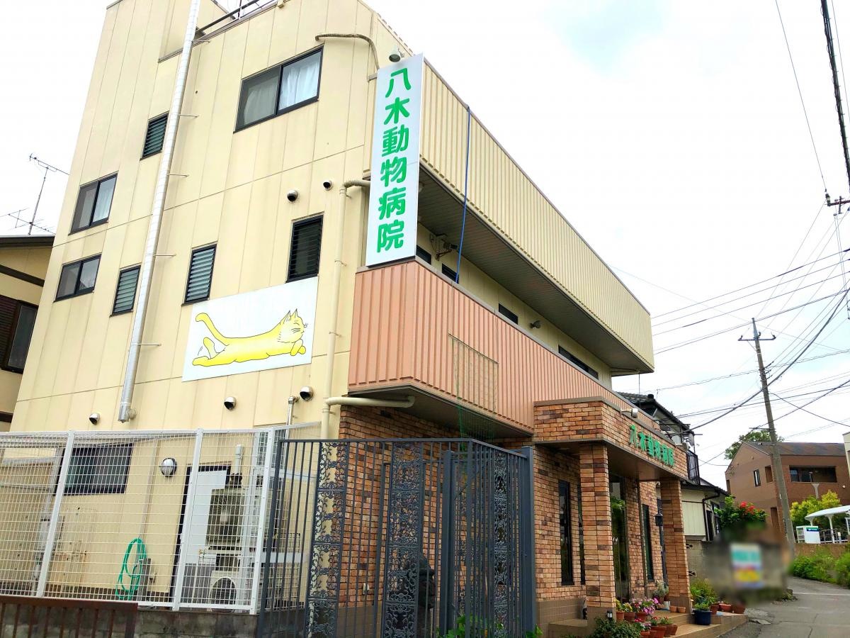 八木動物病院