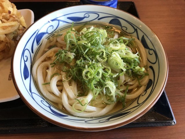 料理/グルメ 画像11