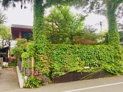 さかな真心庵