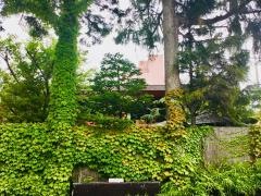 さかな真心庵