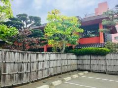 さかな真心庵