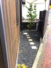 きみ竹