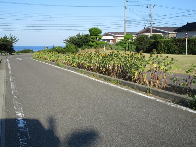 大浦の里