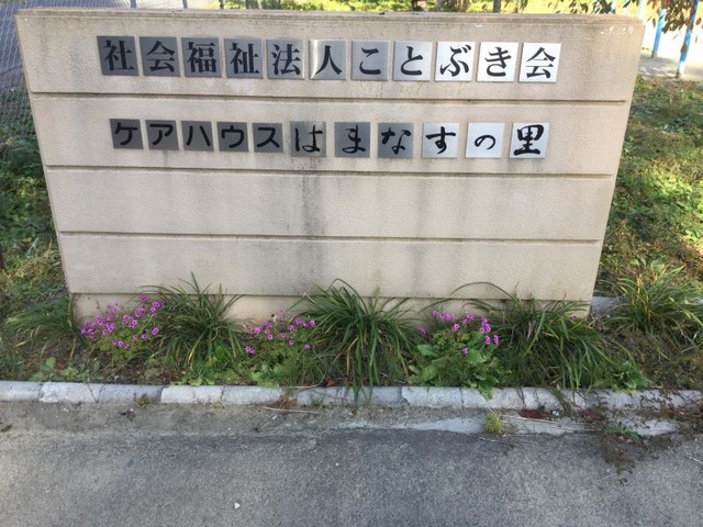 はまなすの里