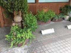 あおみ小児科医院.