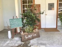 ｌａｐｉｎ