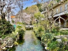 醒井木彫美術館