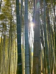 伏見神宝神社