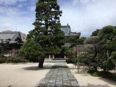 千眼寺