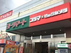 コジマ×ビックカメラ　東村山店