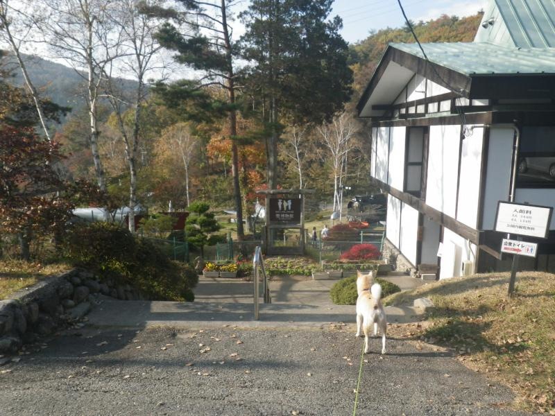 いざ愛犬と共に入場