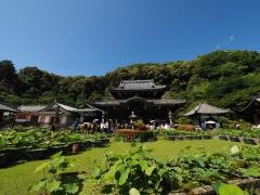 三室戸寺