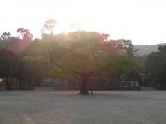 住吉小学校