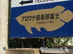 アロワナ倶楽部　富士