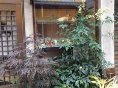 みしま寿司