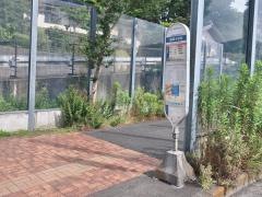 「藤塚小学校」バス停留所