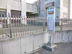 「七里ケ浜駅」バス停留所